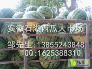 安徽网红地下室吃瓜,安徽“吃瓜”现象背后的故事  第3张