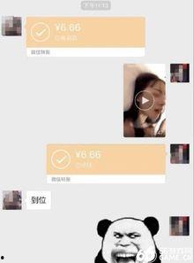 发哥娱乐爆料视频,视频内容大起底  第3张